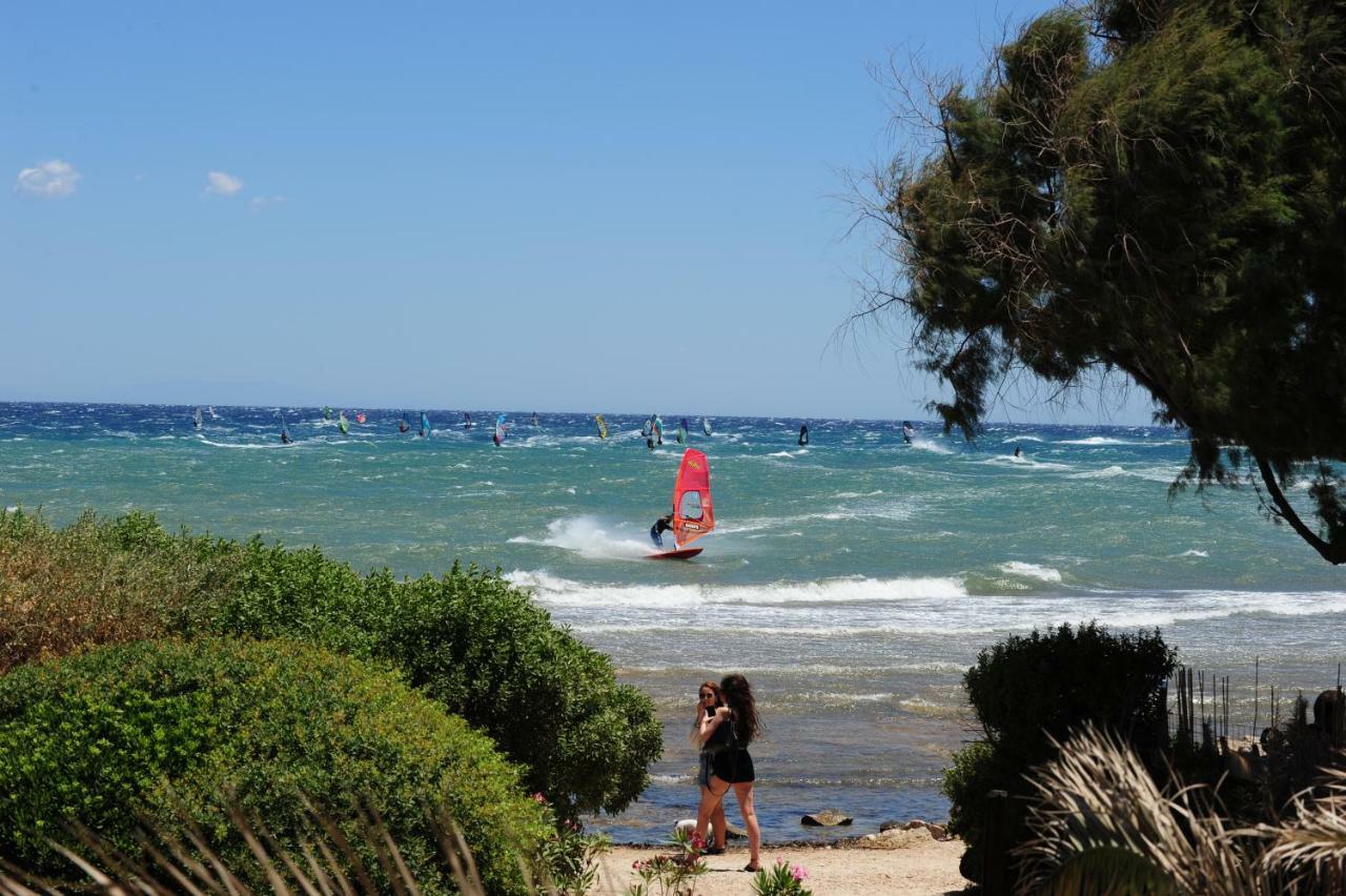 Windsurfing Seaside Apartment Artemida Eksteriør bilde